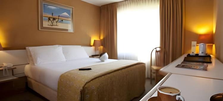 卡拉马公园酒店(Park Hotel Calama)图片