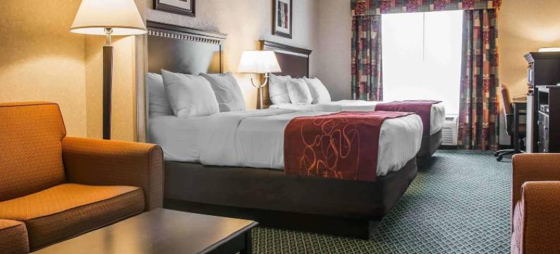 坎顿舒适套房酒店(Comfort Suites)图片