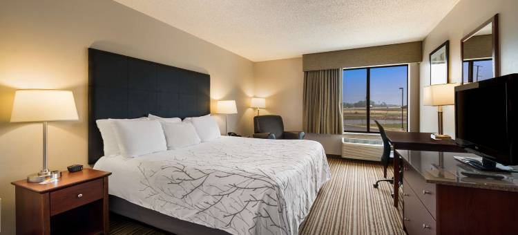 绿洲公园贝斯特韦斯特酒店(Best Western Park Oasis Inn)图片