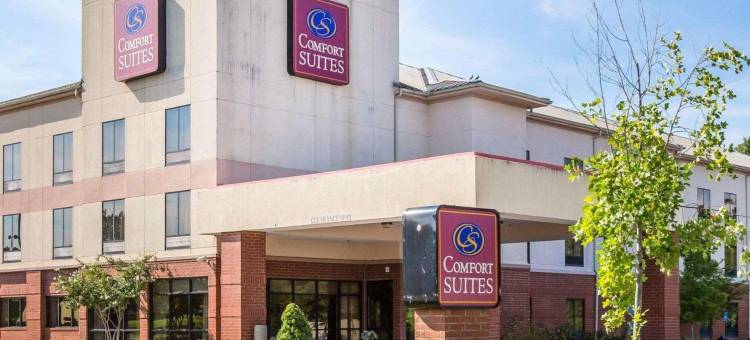 舒适套房酒店(Comfort Suites)图片