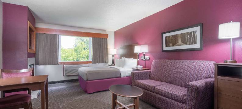 鲍德温温德姆阿美瑞辛酒店(AmericInn by Wyndham Baldwin)图片