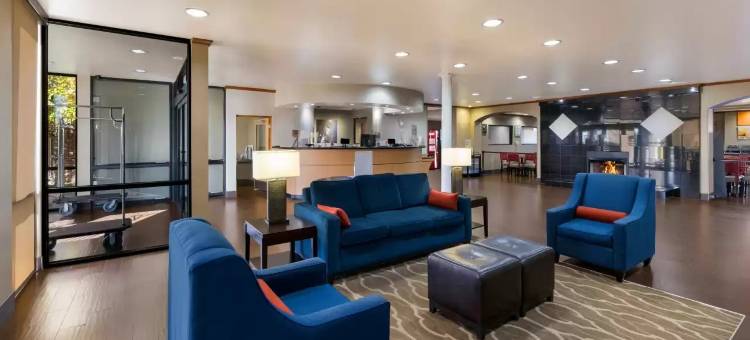 舒适套房酒店-埃尔帕索西(Comfort Suites El Paso West)图片