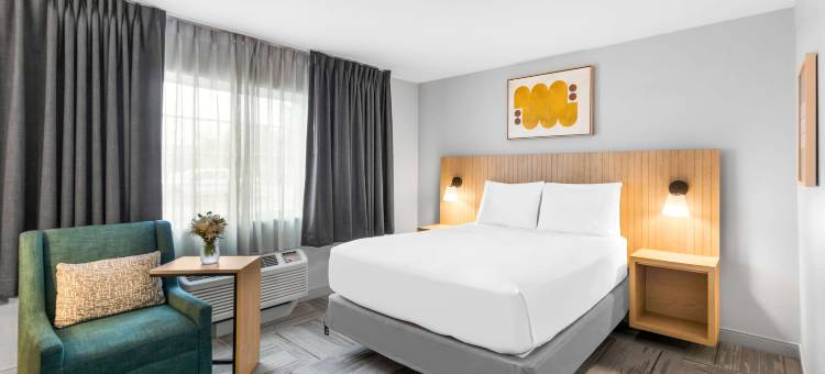 奥斯汀南索尼斯塔简单套房酒店(Sonesta Simply Suites Austin South)图片