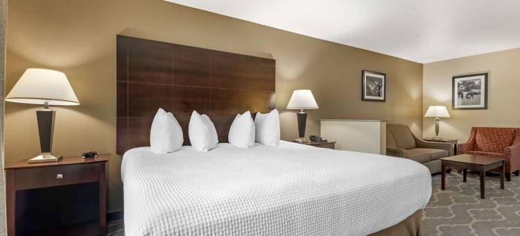 伯利森贝斯特韦斯特优质套房酒店(Best Western Plus Burleson Inn  Suites)图片