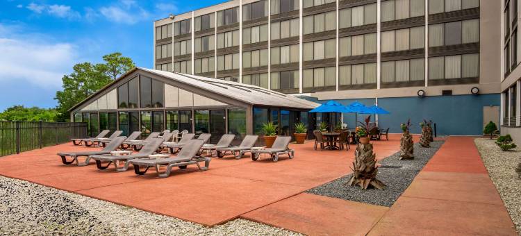 黄金海岸舒适酒店(Comfort Inn Gold Coast)图片