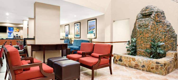 舒适套房酒店-坦帕机场北(Comfort Suites Tampa Airport North)图片