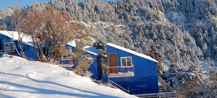 希瓦利克景观度假村(Shivalik view resort)图片