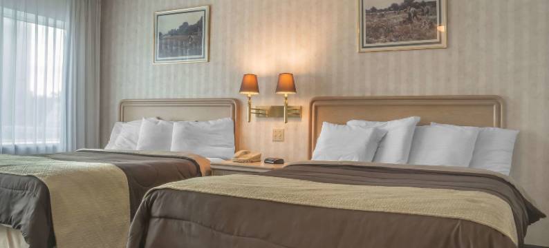 维法斯维罗德威酒店(Rodeway Inn Fallsview)图片