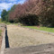 Bungendore - Mount Fairy - 樱桃树 - Merigan农家乐
