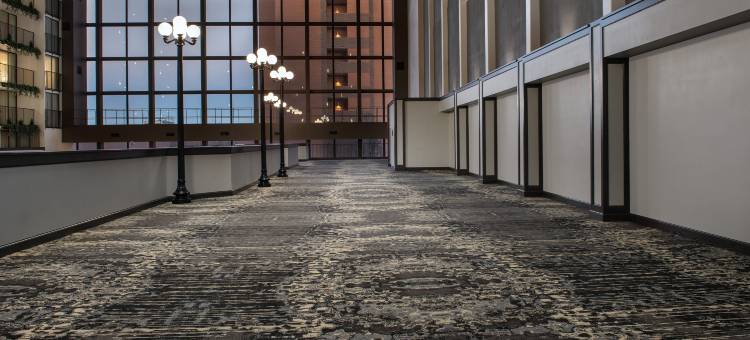 温斯顿塞勒姆希尔顿安泊酒店-(Embassy Suites by Hilton Winston Salem)图片