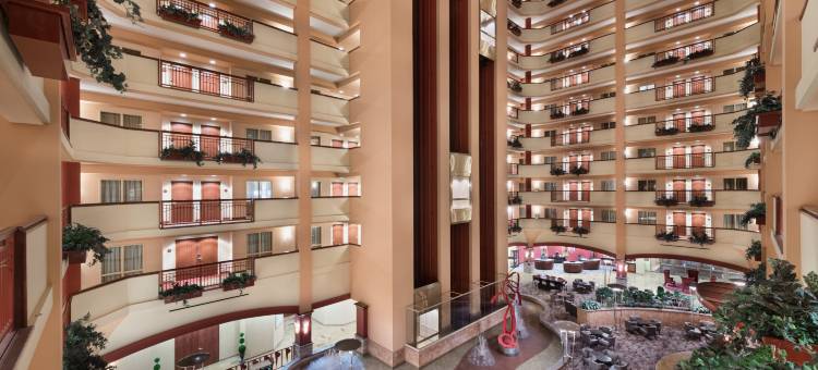 纳什维尔东南默夫里斯伯勒希尔顿安泊酒店(Embassy Suites by Hilton Nashville SE Murfreesboro)图片