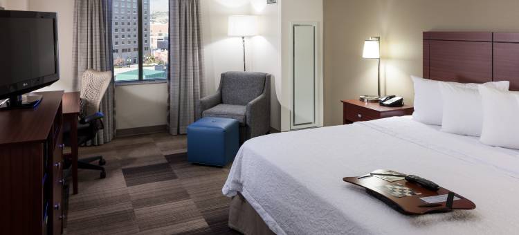博伊西市中心欢朋套房酒店(Hampton Inn & Suites Boise-Downtown)图片