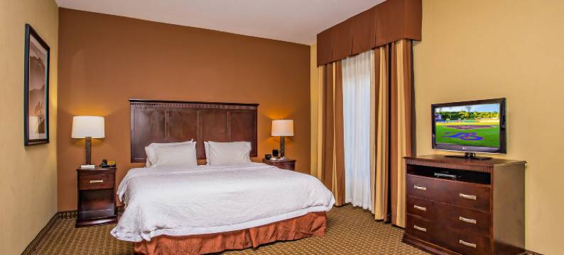 赛维尔维尔体育场路欢朋酒店及套房(Hampton Inn & Suites Sevierville @ Stadium Drive)图片