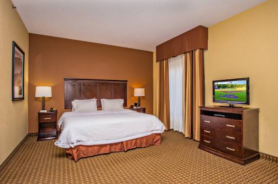 赛维尔维尔体育场路欢朋酒店及套房(Hampton Inn & Suites Sevierville @ Stadium Drive)