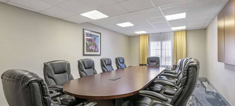 康福特套房市中心(Comfort Suites Downtown)图片