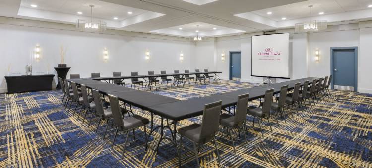 Crowne Plaza 杰克逊维尔机场(Crowne Plaza Jacksonville Airport/I-95N)图片