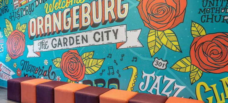 奥兰治堡希尔顿Tru酒店(Tru by Hilton Orangeburg)图片