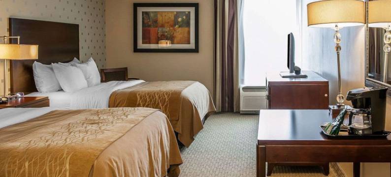 布卢明顿大学附近舒适酒店(Comfort Inn Bloomington Near University)图片