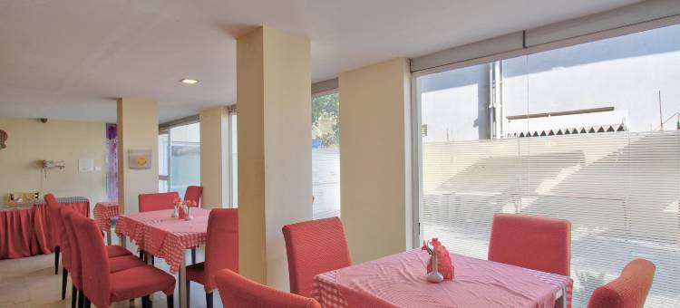 OYO 10950 山区宫殿酒店(Townhouse Hills Palace)图片