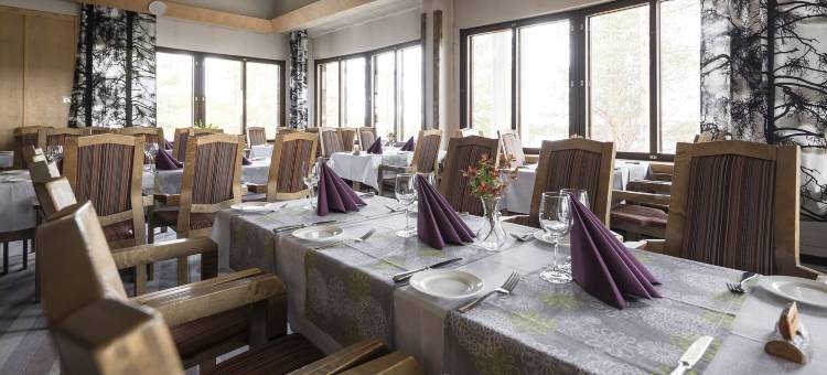 哈特拉普兰酒店(Lapland Hotels Hetta)图片