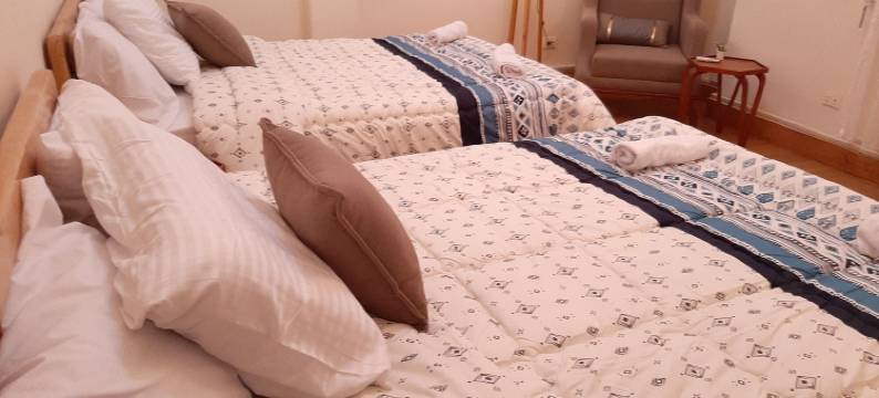 塔拉特哈尔布市中心的皇家公寓(Royal Apartment in Talaat Harb Downtown Cairo)图片