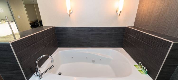 Holiday Inn Express 埃德蒙顿DOWNTOWN(Holiday Inn Express Edmonton Downtown)图片