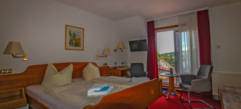 德鲁伊登斯泰恩酒店及餐厅(Hotel & Restaurant Druidenstein)图片