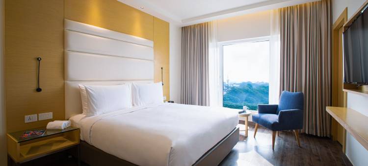 Ikon by Annapoorna图片