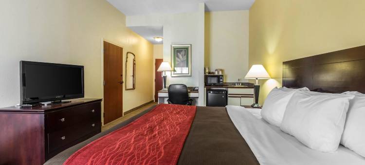 舒适套房酒店(Comfort Inn & Suites)图片