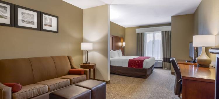 北诺克斯维尔舒适套房酒店(Comfort Suites North)图片
