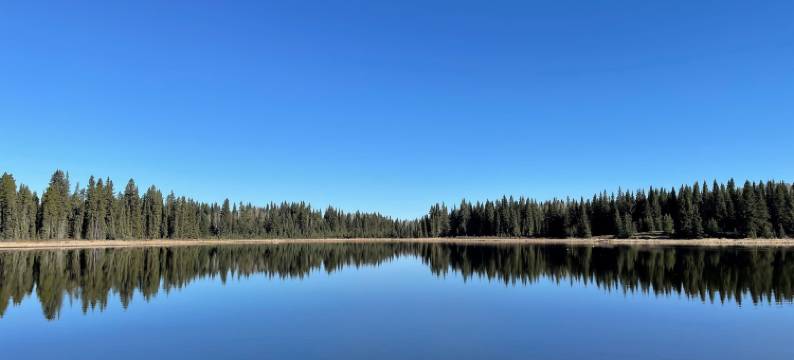 绍特湖会议及度假村(Schott’s Lake Conference & Resort)图片