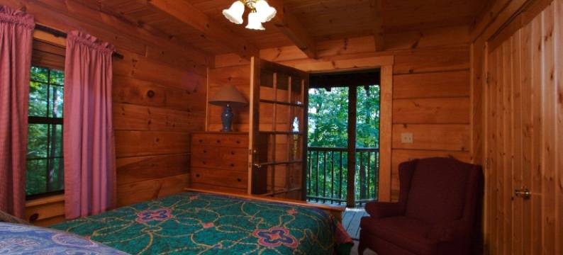 加特林堡阿拉斯加探险小屋酒店(Gatlinburg Adventure Cabins)图片
