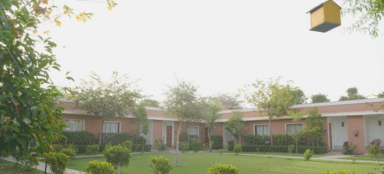 Aangan度假村(Aangan Resort Mandawa)图片