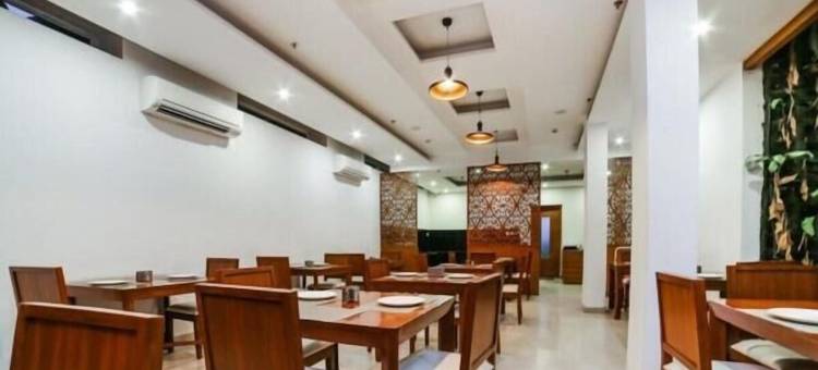 华润城精英酒店，古尔冈(Hotel ELite Millennium City Gurgaon)图片