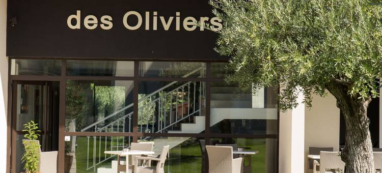 乐多门蒂斯奥利克斯酒店(Le Domaine des Oliviers)图片