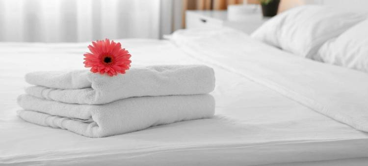 太阳广场汽车旅馆(Sun Plaza Motel)图片