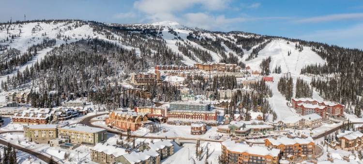 I Spy - 舒适的宠物友好型，滑雪入/滑雪出公寓，带私人热水浴缸(I Spy - Cozy Pet Friendly, Ski in/Ski Out Condo with Private Hot Tub)图片