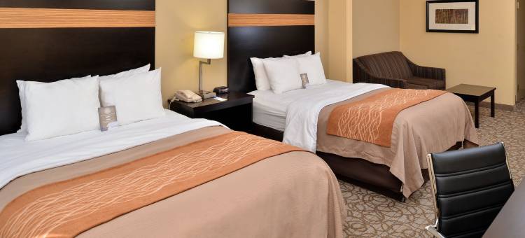 斯通山舒适套房酒店(Comfort Inn & Suites at Stone Mountain)图片