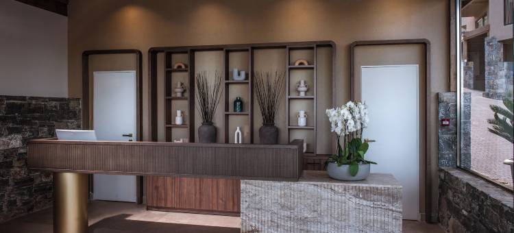 伊罗达塞莱娜酒店(Elounda Infinity Exclusive Resort & Spa - Adults Only)图片