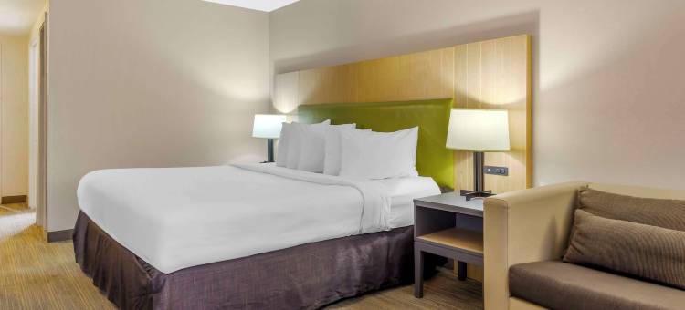 弗吉尼亚南纽波特纽斯丽怡酒店(Country Inn & Suites by Radisson, Newport News South, VA)图片