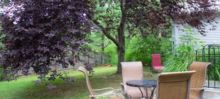 巨大庄园带室内热水浴缸和台球桌(Huge Manor w Indoor Hot Tub and Pool Table)图片