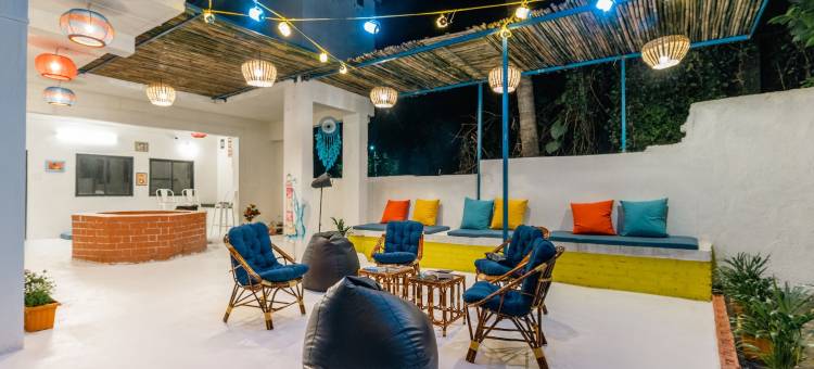 Moustache 达曼(Moustache Daman)图片