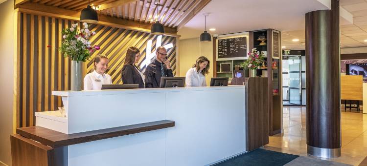 Holiday Inn 图卢兹机场(Holiday Inn Toulouse Airport)图片