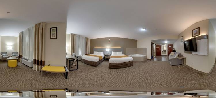 米德威-西塔拉哈西舒适套房酒店(Comfort Inn & Suites Midway - Tallahassee West)图片