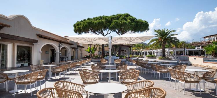 VOI Tanka Selected图片