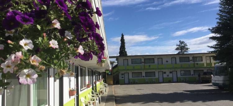 雪松汽车旅馆(Cedars Motel)图片