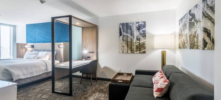 俄克拉何马城中心/ 布里克顿SpringHill Suites酒店(SpringHill Suites Oklahoma City Downtown/Bricktown)图片
