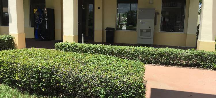 太阳城中心罗德威旅馆(Rodeway Inn Sun City Center)图片