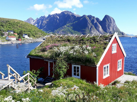 雷讷罗尔布尔经典挪威酒店