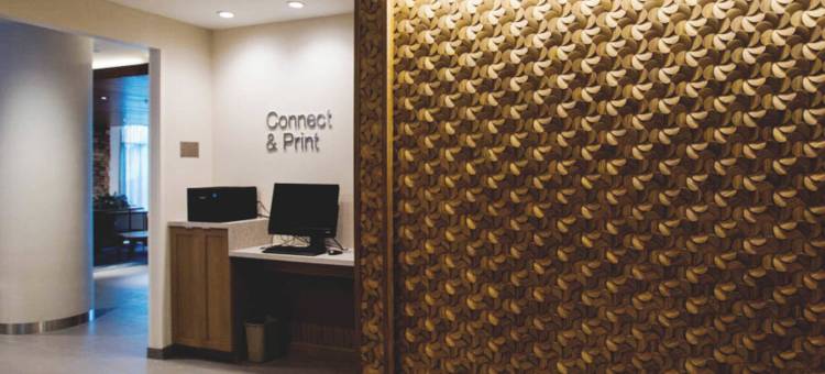 费城布鲁莫尔-新镇广场万枫套房酒店(Fairfield Inn & Suites Philadelphia Broomall/Newtown Square)图片